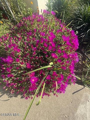 1341 Edgewood Way 23, Oxnard, CA 93030