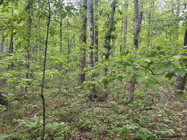 0 RT Davis Rd, Spencer, TN 38585