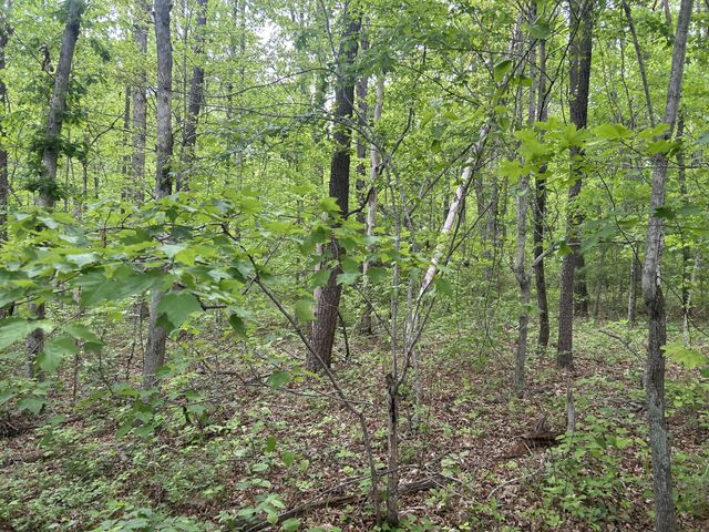 0 RT Davis Rd, Spencer, TN 38585