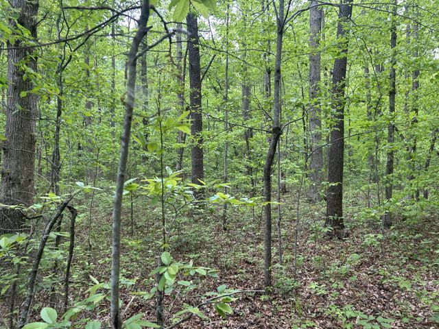 0 RT Davis Rd, Spencer, TN 38585