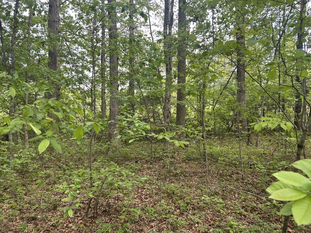 0 RT Davis Rd, Spencer, TN 38585