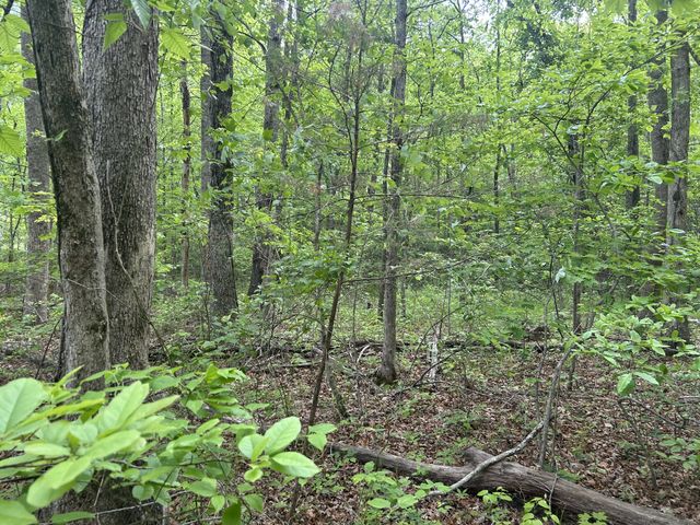 0 RT Davis Rd, Spencer, TN 38585