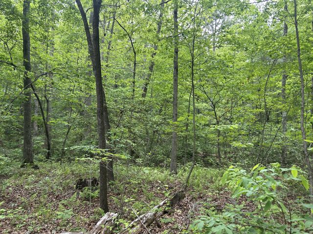 0 RT Davis Rd, Spencer, TN 38585