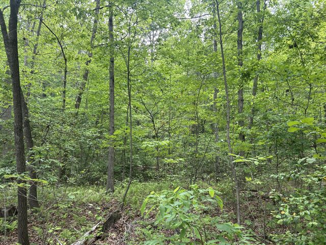 0 RT Davis Rd, Spencer, TN 38585