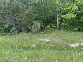0 RT Davis Rd, Spencer, TN 38585