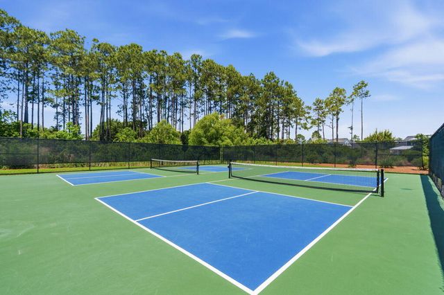 309 Jack Knife Drive, Inlet Beach, FL 32461