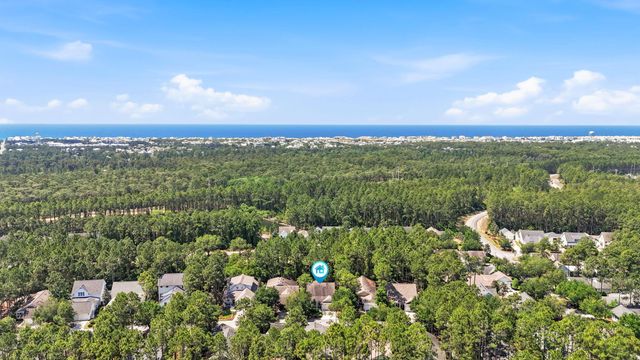 309 Jack Knife Drive, Inlet Beach, FL 32461