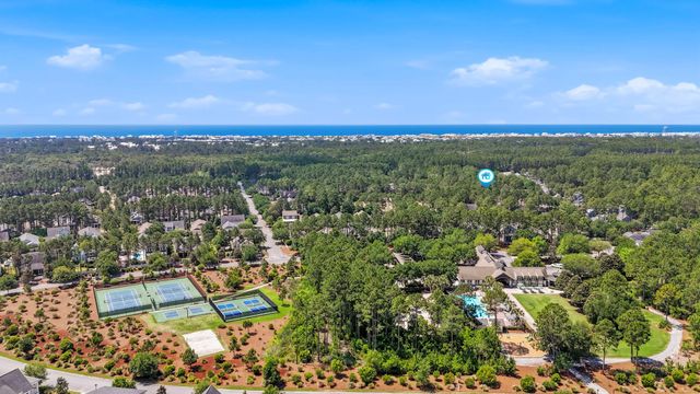 309 Jack Knife Drive, Inlet Beach, FL 32461
