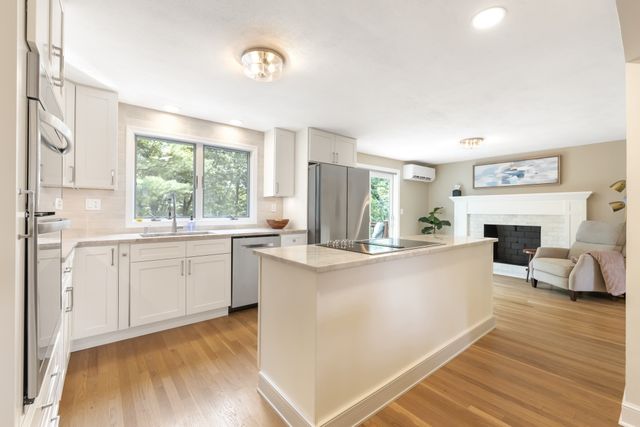 54 Checkerberry Ln, Framingham, MA 01702