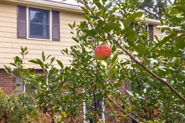 54 Checkerberry Ln, Framingham, MA 01702