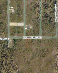 NW MALLARD AVENUE, Dunnellon, FL 34431
