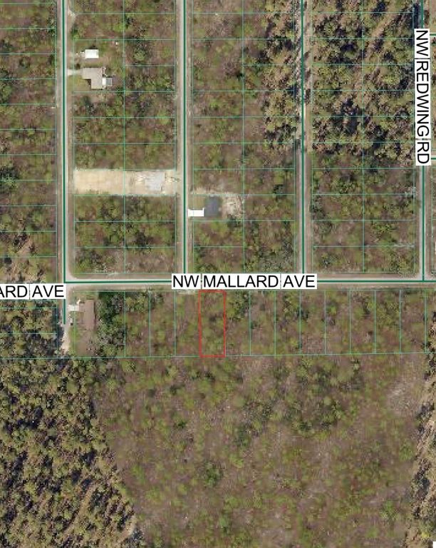 NW MALLARD AVENUE, Dunnellon, FL 34431