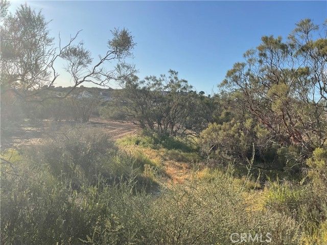 687 Saddleback Drive, Aguanga, CA 92536