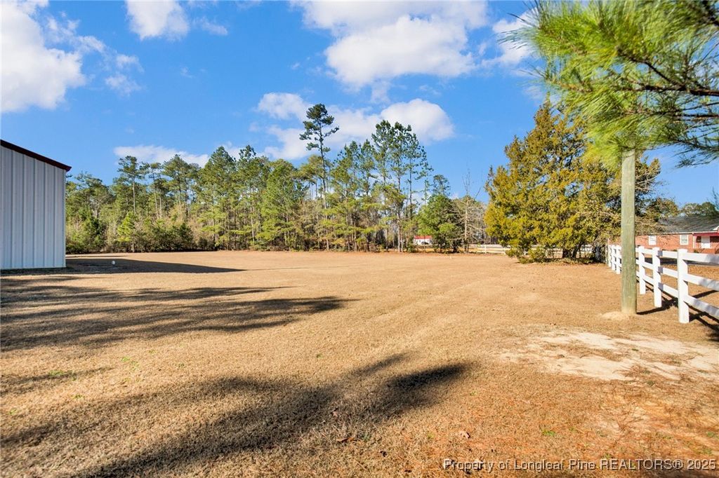 3460 Big Piney Grove Road, Clinton, NC 28328 — photo 3