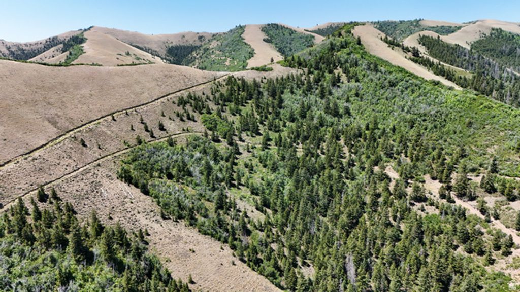 Image 41 of property listing at 7500 SPRING CANYON RD, Helper, UT 84526