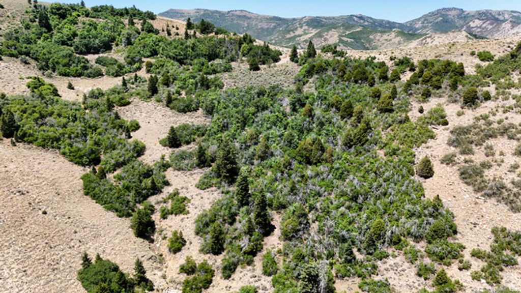 Image 57 of property listing at 7500 SPRING CANYON RD, Helper, UT 84526