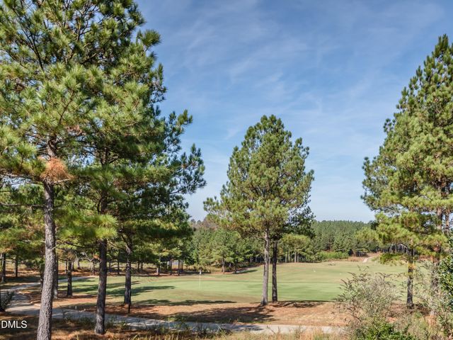 453 Golfers View, Pittsboro, NC 27312