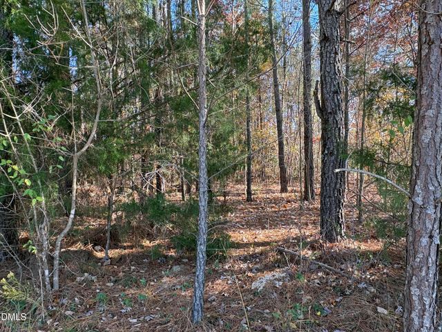 453 Golfers View, Pittsboro, NC 27312