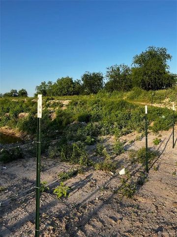 9380 Iowa Road, Mission, TX 78574