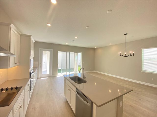 16751 HAMLIN VISTA ALLEY, Winter Garden, FL 34787