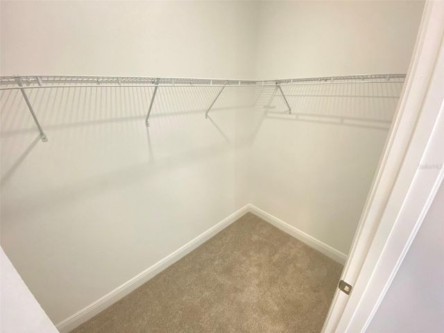 16751 HAMLIN VISTA ALLEY, Winter Garden, FL 34787
