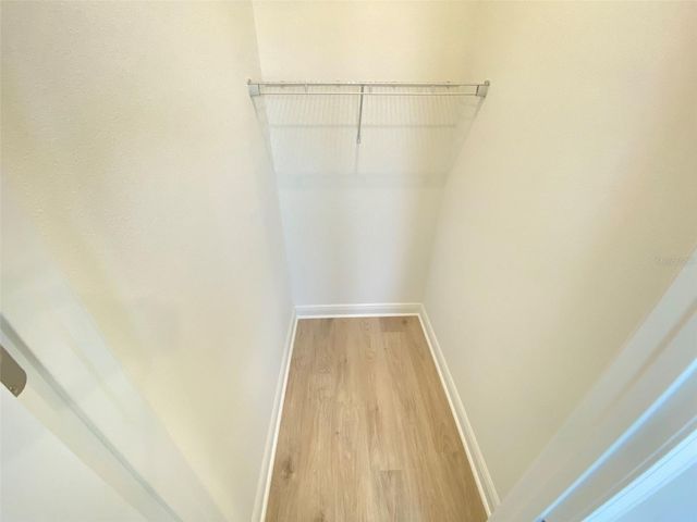 16751 HAMLIN VISTA ALLEY, Winter Garden, FL 34787