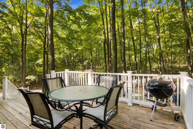 6549 Courchevel Lane, Bellaire, MI 49615