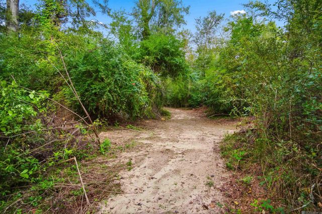 771 Carrier Rd, Pine Grove, LA 70453