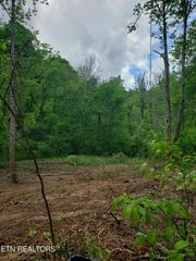 397 Moore Hollow Rd, Newport, TN 37821