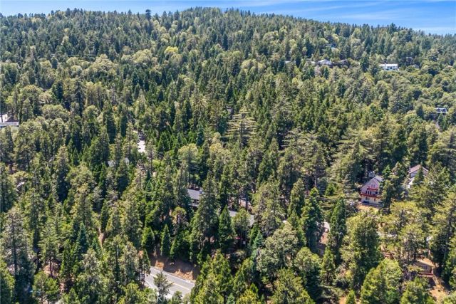 24634 Bernard Drive, Crestline, CA 92325