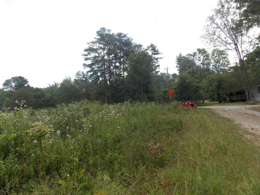 00 Chamberlain Ferry Rd, Lincolnton, GA 30817
