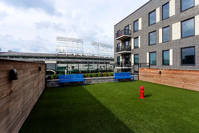 1025 W Addison Street 527, Chicago, IL 60613