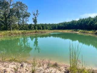 TBD Union Springs Rd, Corrigan, TX 75939