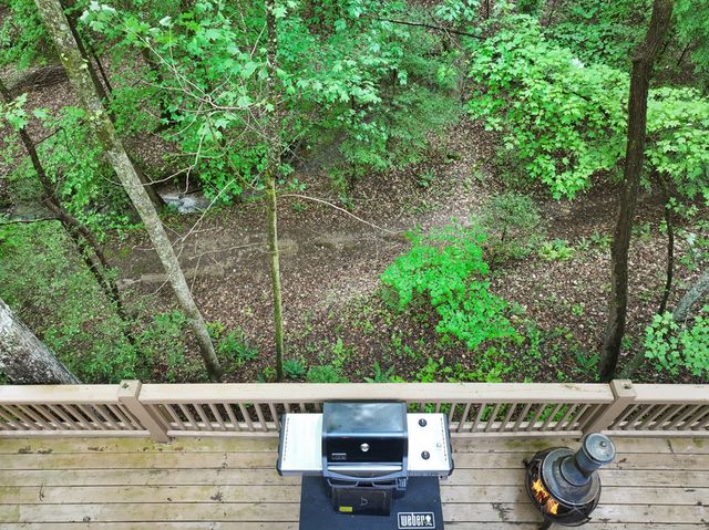 189 Cherry Lake Drive, Blue Ridge, GA 30513