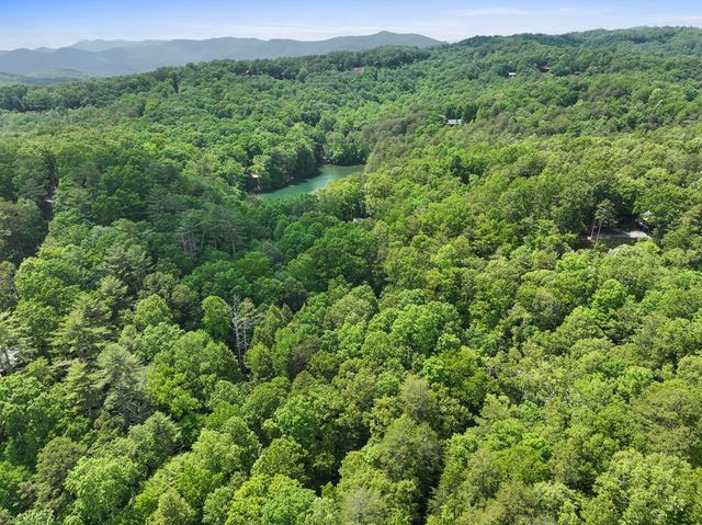 189 Cherry Lake Drive, Blue Ridge, GA 30513