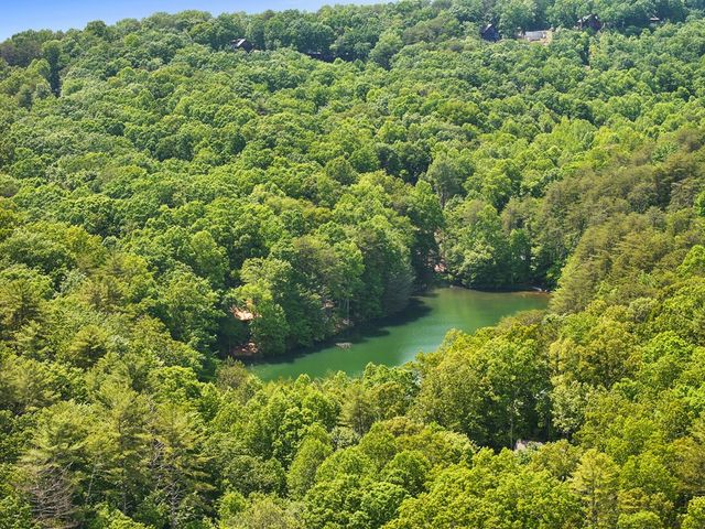 189 Cherry Lake Drive, Blue Ridge, GA 30513