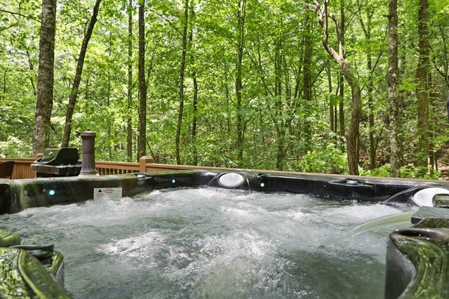189 Cherry Lake Drive, Blue Ridge, GA 30513