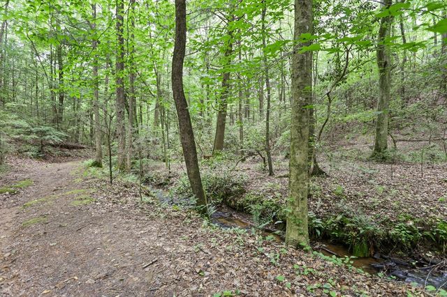 189 Cherry Lake Drive, Blue Ridge, GA 30513