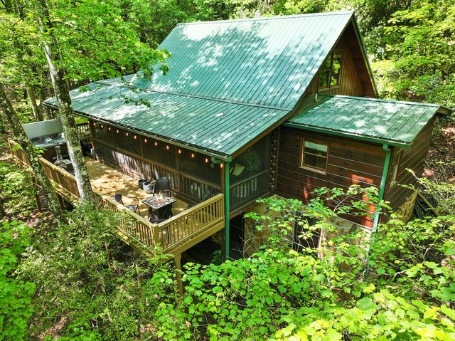 189 Cherry Lake Drive, Blue Ridge, GA 30513