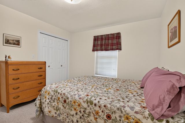 1585 E 350 S, Springville, UT 84663