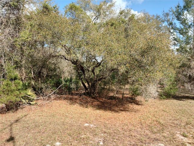 1251 SEMINOLE DRIVE, De Leon Springs, FL 32130