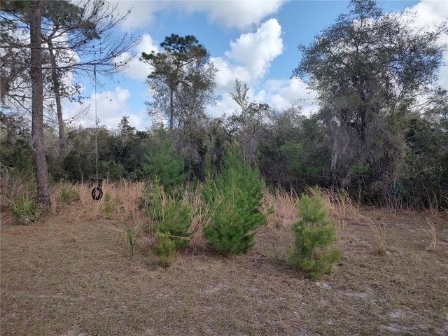 1251 SEMINOLE DRIVE, De Leon Springs, FL 32130