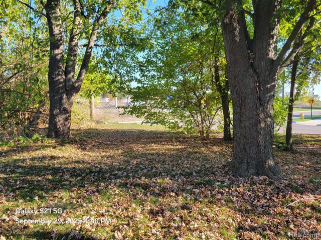 184 North Drive, Wyandotte, MI 48192