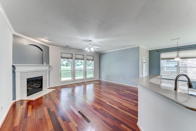 10103 Cottonwood Canyon Drive, Houston, TX 77095