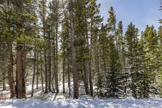 757 Texas Drive, Idaho Springs, CO 80452