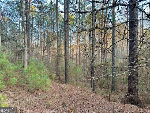 0 - TRACT 4 Mt Zion Church Road, Whitesburg, GA 30185
