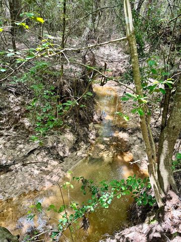 0 Slim Palmer Rd, Zavalla, TX 75980