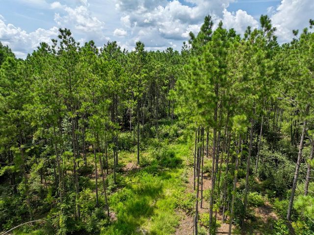 0 Slim Palmer Rd, Zavalla, TX 75980