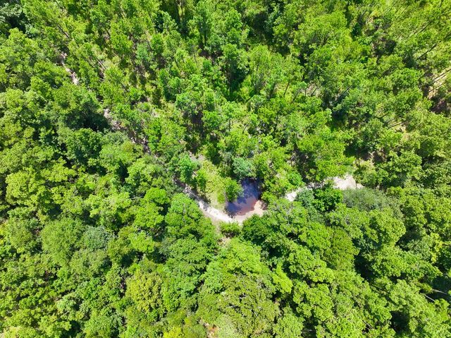 0 Slim Palmer Rd, Zavalla, TX 75980