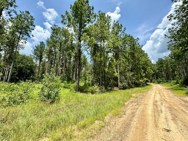 0 Slim Palmer Rd, Zavalla, TX 75980
